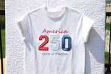 America freedom anniversary embroidered applique t-shirt / sweatshirt / hoodie